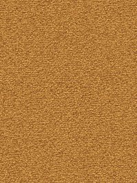 wDTW101370A400-F Das Teppichwerk Teppichboden Fascination...
