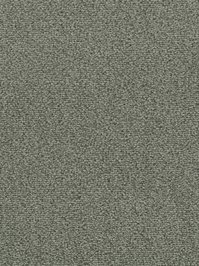 wDTW103618A400-F Das Teppichwerk Teppichboden Fascination...