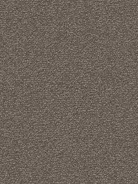 wDTW101384A400-F Das Teppichwerk Teppichboden Fascination...