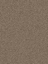 wDTW101390A400-F Das Teppichwerk Teppichboden Fascination...