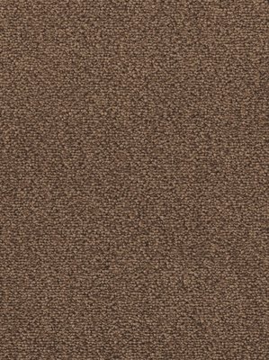wDTW103619A400-F Das Teppichwerk Teppichboden Fascination...