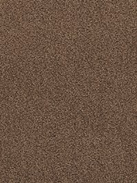wDTW103619A400-F Das Teppichwerk Teppichboden Fascination...