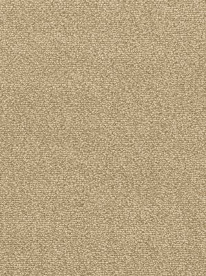 wDTW103620A400-F Das Teppichwerk Teppichboden Fascination...
