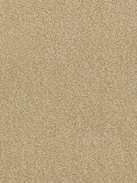 wDTW103620A400-F Das Teppichwerk Teppichboden Fascination...