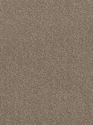 wDTW103621A400-F Das Teppichwerk Teppichboden Fascination...