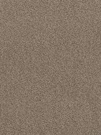 wDTW103621A400-F Das Teppichwerk Teppichboden Fascination...