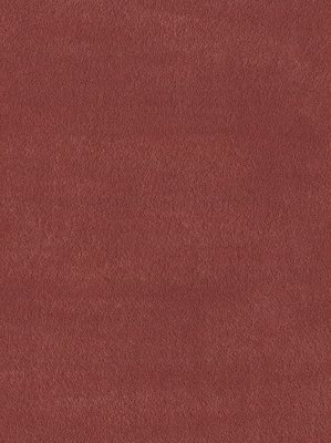 wDTW101429A400-F Das Teppichwerk Teppichboden Fascination...