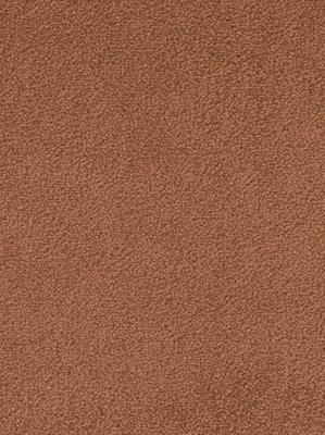 wDTW103525A400-F Das Teppichwerk Teppichboden Fascination...