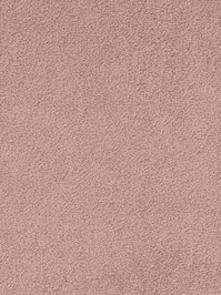 wDTW103526A400-F Das Teppichwerk Teppichboden Fascination...