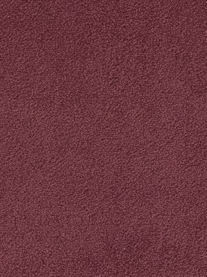 wDTW103527A400-F Das Teppichwerk Teppichboden Fascination...