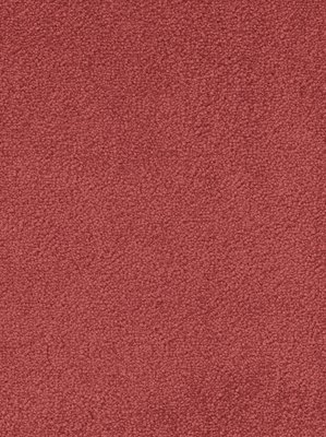 wDTW103528A400-F Das Teppichwerk Teppichboden Fascination...