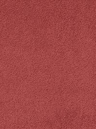 wDTW103528A400-F Das Teppichwerk Teppichboden Fascination...