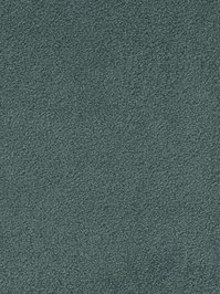 wDTW103530A400-F Das Teppichwerk Teppichboden Fascination...