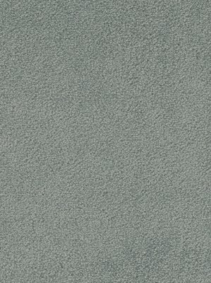 wDTW103531A400-F Das Teppichwerk Teppichboden Fascination...