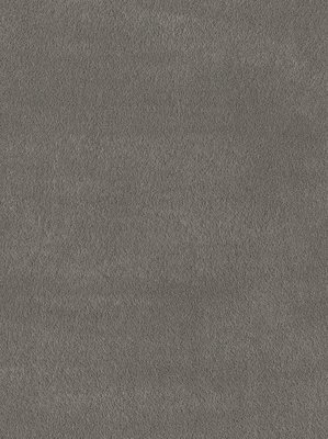 wDTW101458A400-F Das Teppichwerk Teppichboden Fascination...
