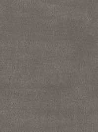 wDTW101458A400-F Das Teppichwerk Teppichboden Fascination...
