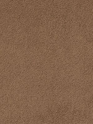 wDTW103535A400-F Das Teppichwerk Teppichboden Fascination...
