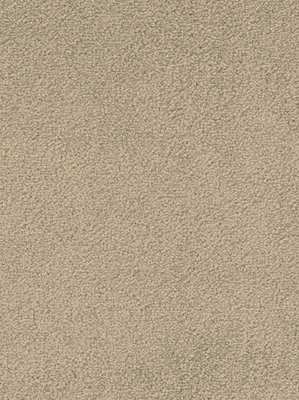 wDTW103537A400-F Das Teppichwerk Teppichboden Fascination...