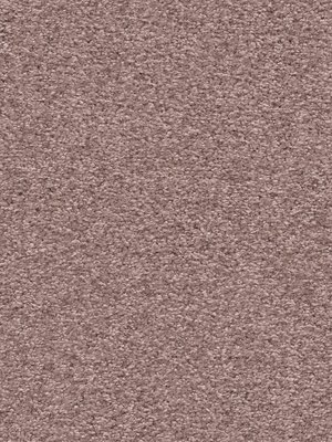 wDTW101616A400-F Das Teppichwerk Teppichboden Fascination...
