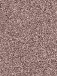 wDTW101616A400-F Das Teppichwerk Teppichboden Fascination...