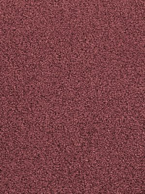 wDTW103582A400-F Das Teppichwerk Teppichboden Fascination...