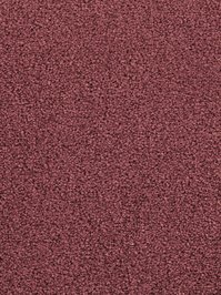 wDTW103582A400-F Das Teppichwerk Teppichboden Fascination...