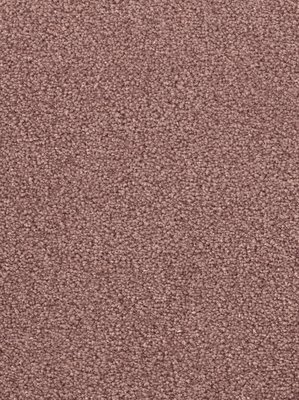 wDTW103583A400-F Das Teppichwerk Teppichboden Fascination...