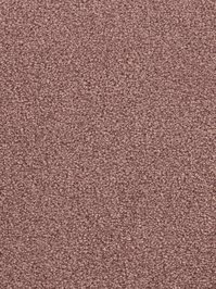 wDTW103583A400-F Das Teppichwerk Teppichboden Fascination...