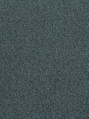 wDTW103584A400-F Das Teppichwerk Teppichboden Fascination...