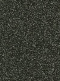 wDTW101623A400-F Das Teppichwerk Teppichboden Fascination...