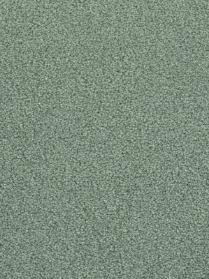 wDTW103585A400-F Das Teppichwerk Teppichboden Fascination...