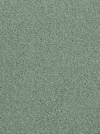 wDTW103585A400-F Das Teppichwerk Teppichboden Fascination...