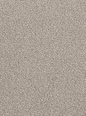 wDTW103586A400-F Das Teppichwerk Teppichboden Fascination...