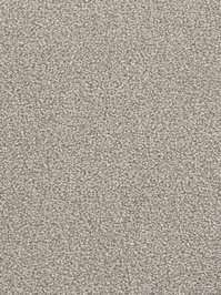 wDTW103586A400-F Das Teppichwerk Teppichboden Fascination...