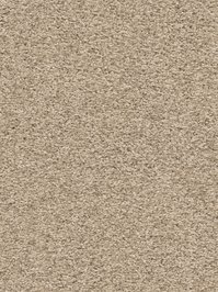 wDTW101588A400-F Das Teppichwerk Teppichboden Fascination...