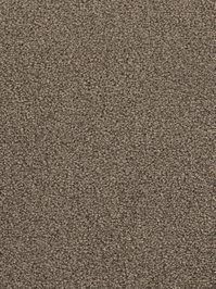 wDTW103587A400-F Das Teppichwerk Teppichboden Fascination...