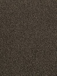 wDTW103588A400-F Das Teppichwerk Teppichboden Fascination...
