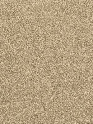 wDTW103589A400-F Das Teppichwerk Teppichboden Fascination...