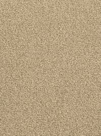 wDTW103589A400-F Das Teppichwerk Teppichboden Fascination...