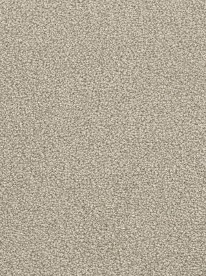 wDTW103590A400-F Das Teppichwerk Teppichboden Fascination...
