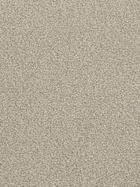 wDTW103590A400-F Das Teppichwerk Teppichboden Fascination...