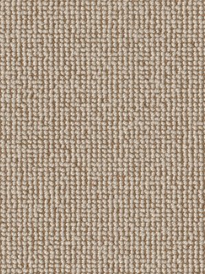 wDTW103555A400-F Das Teppichwerk Teppichboden Fascination...