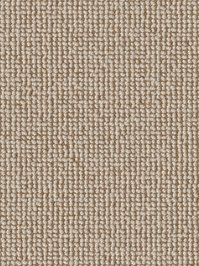 wDTW103555A400-F Das Teppichwerk Teppichboden Fascination...