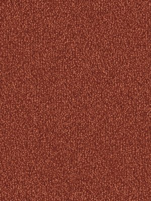 wDTW101295A400-F Das Teppichwerk Teppichboden Fascination...