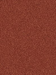 wDTW101295A400-F Das Teppichwerk Teppichboden Fascination...