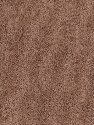 wDTW103601A400-F Das Teppichwerk Teppichboden Fascination...