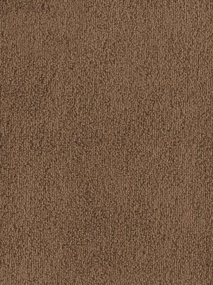 wDTW103603A400-F Das Teppichwerk Teppichboden Fascination...
