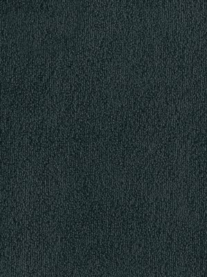 wDTW103604A400-F Das Teppichwerk Teppichboden Fascination...