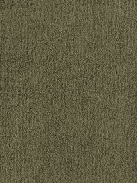 wDTW103605A400-F Das Teppichwerk Teppichboden Fascination...