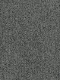 wDTW103606A400-F Das Teppichwerk Teppichboden Fascination...